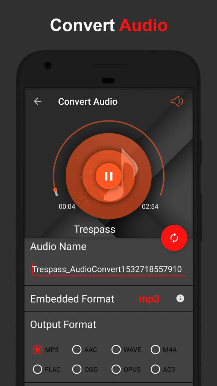 Audiolab captura de pantalla 5