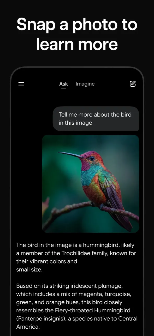 Grok AI Screenshot 3