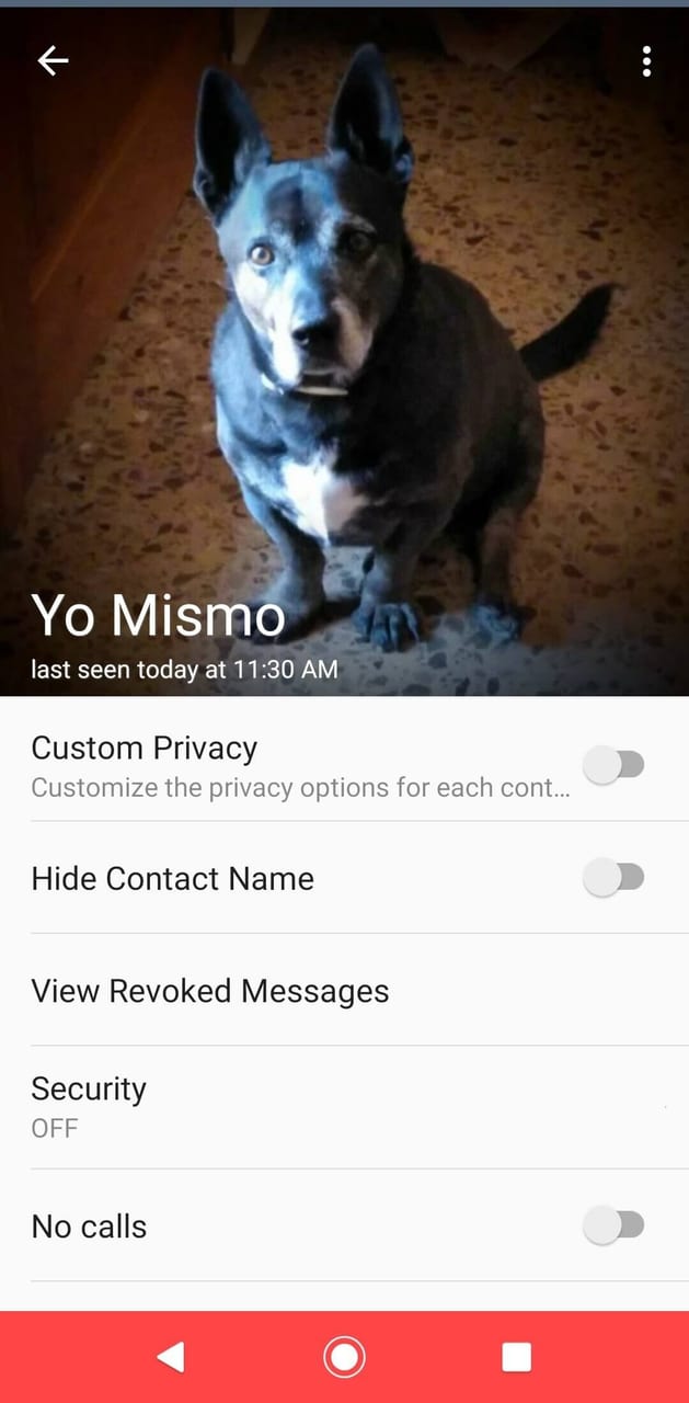 WhatsApp Delta Screenshot 6