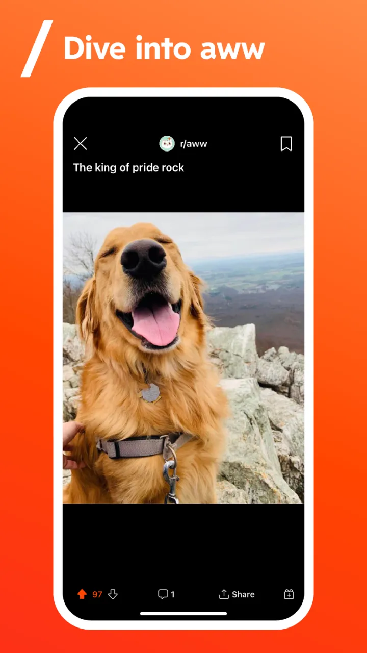 Reddit Screenshot 4
