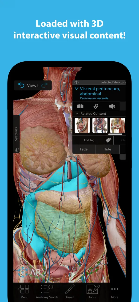 Human Anatomy Atlas 2026 preview screenshot 6