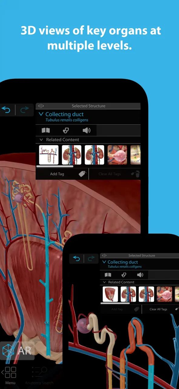Human Anatomy Atlas 2026 preview screenshot 5