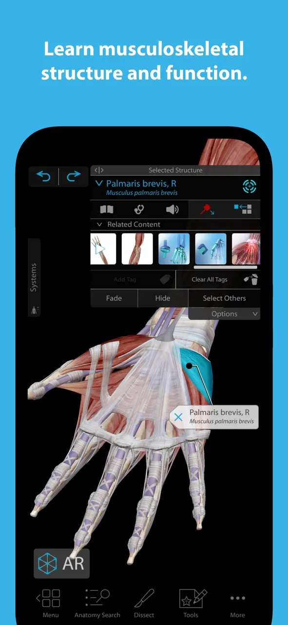 Human Anatomy Atlas 2026 preview screenshot 4